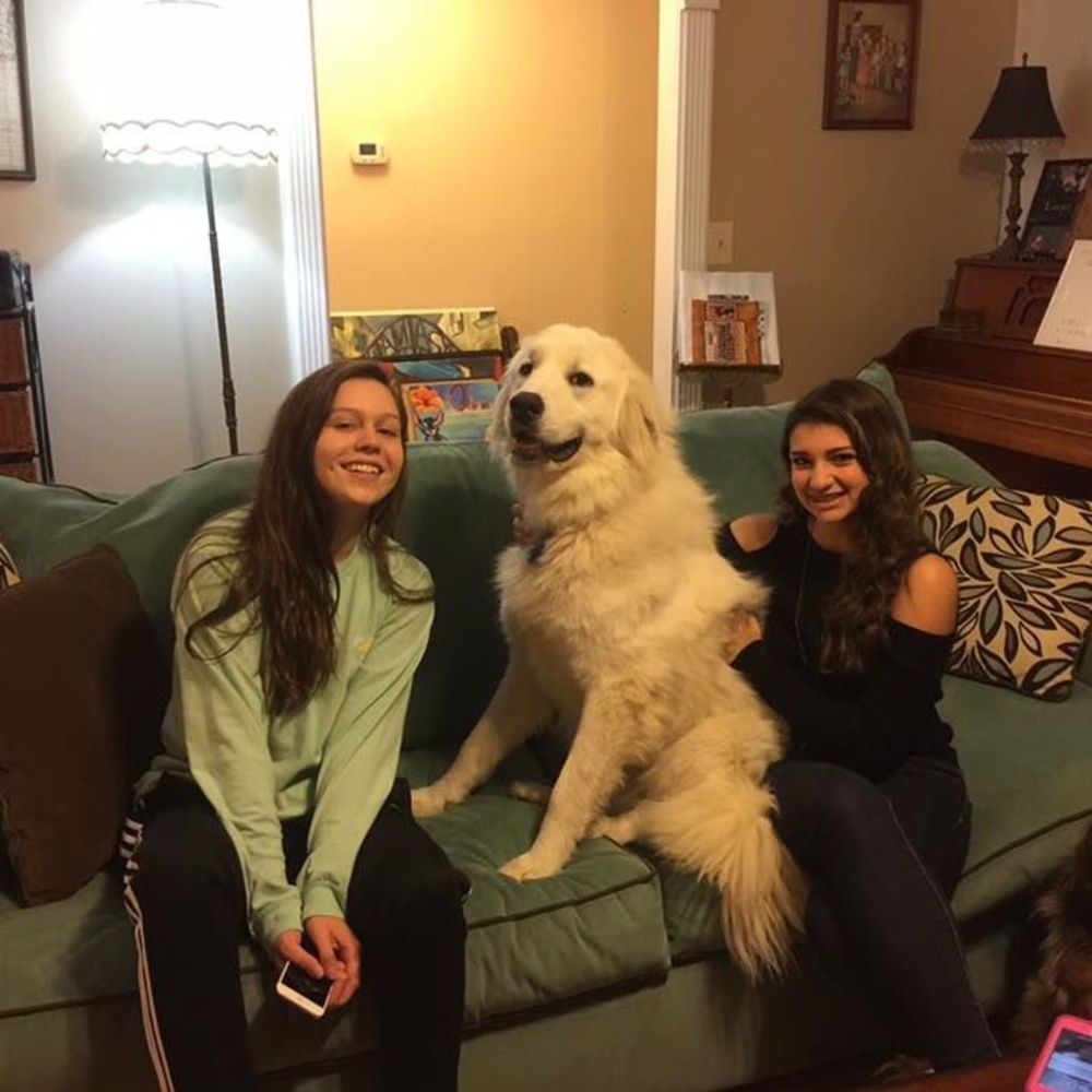 Meet your Posher, Kimberlie